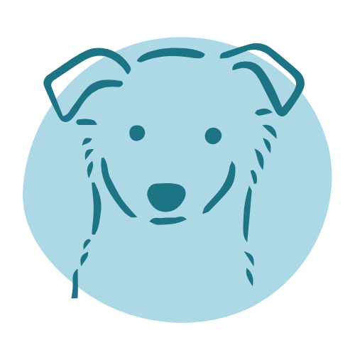 Happy 2024 dog online